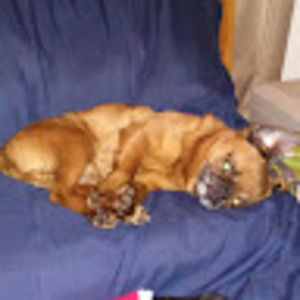 Meet your Posher, Tricia